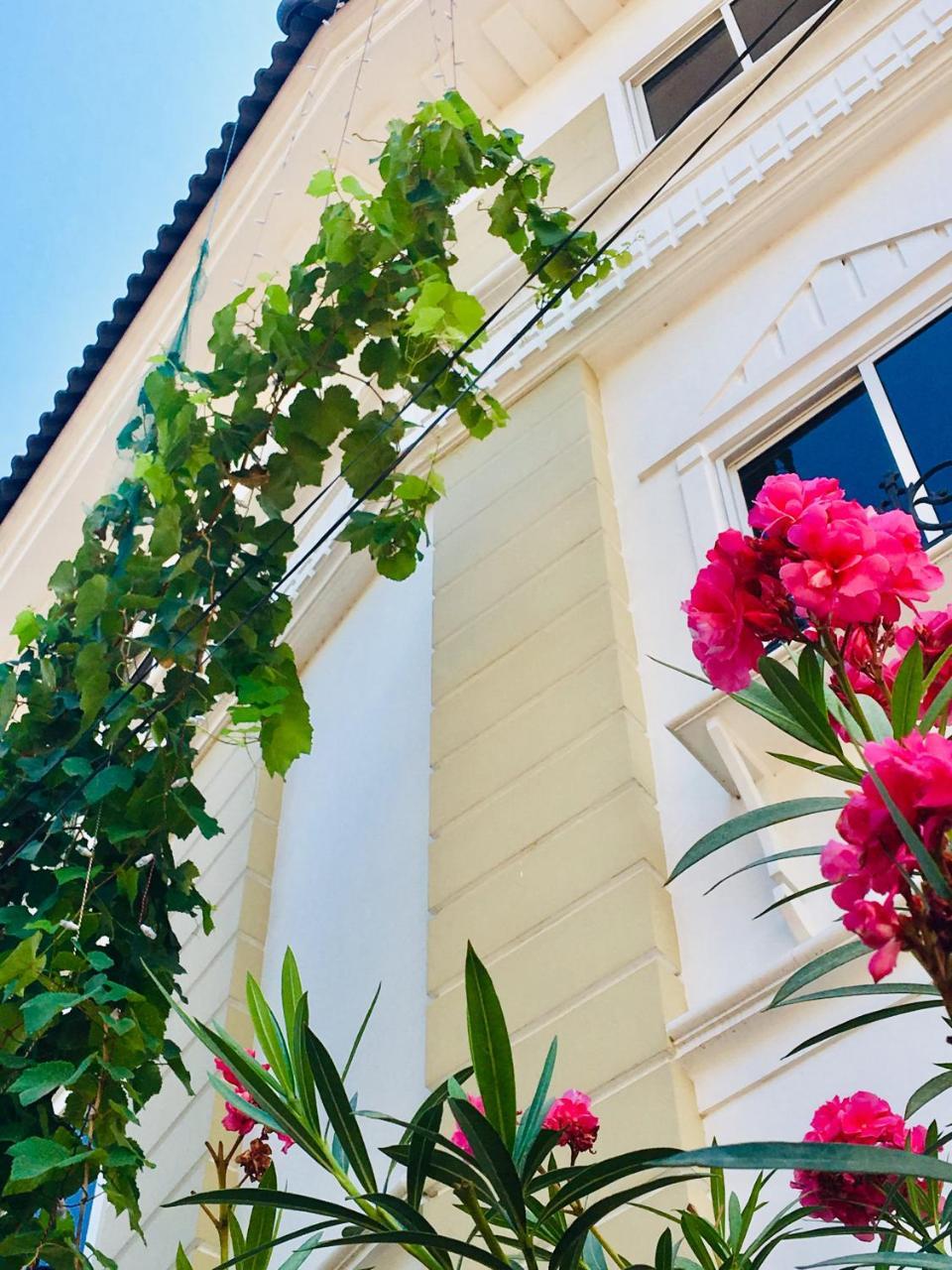 Daffodils Spice Court Ξενοδοχείο Kochi Εξωτερικό φωτογραφία